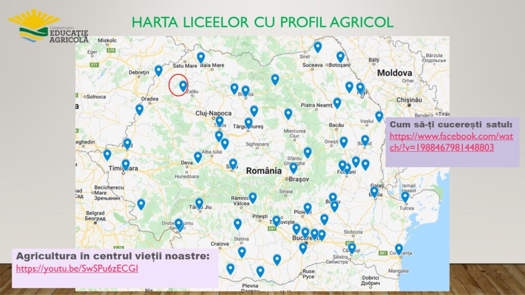 Diapozitiv13
