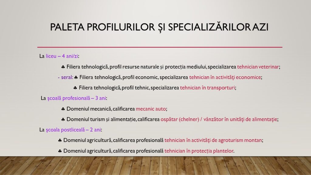 Diapozitiv4