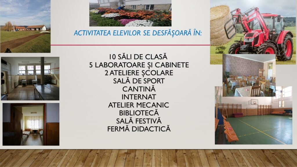 Diapozitiv8